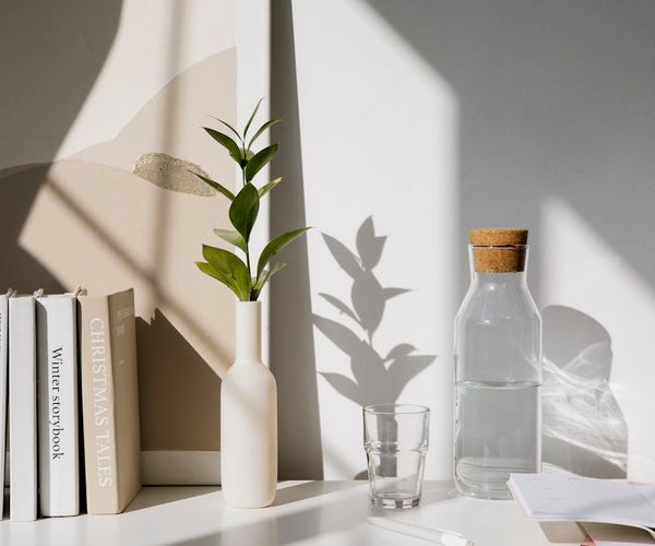 A neatly arranged yoga mat, water bottle, and small plant.